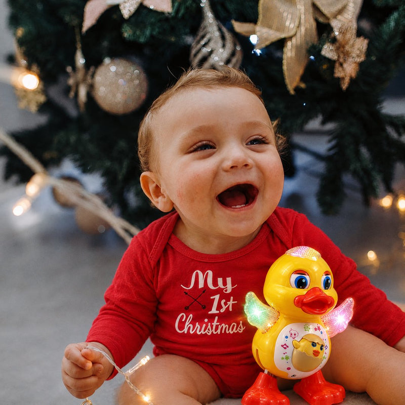 Waddle's First Christmas Box photo 1