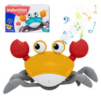 Catch-Me Crawling Crab in Sunset Orange