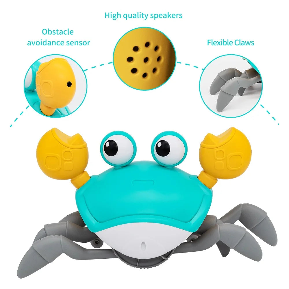 Catch-Me Crawling Crab