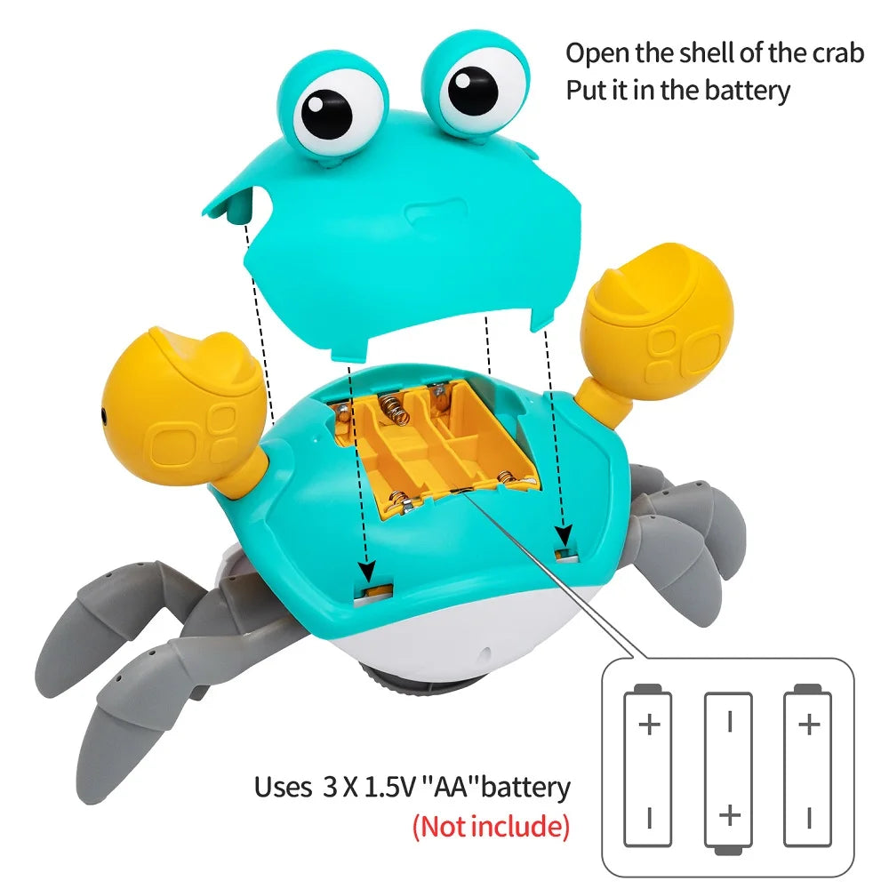 Catch-Me Crawling Crab