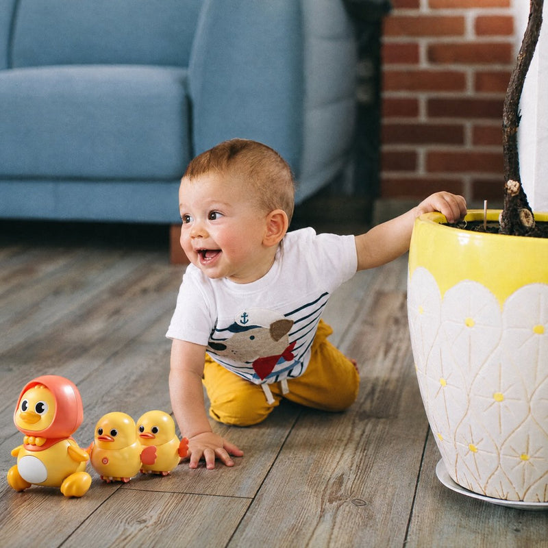 Follow-Me Duck Family