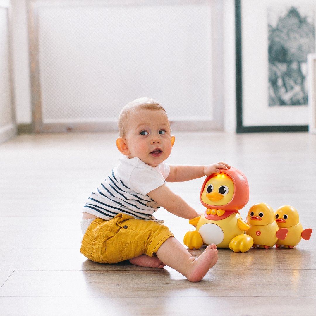 Follow-Me Duck Family
