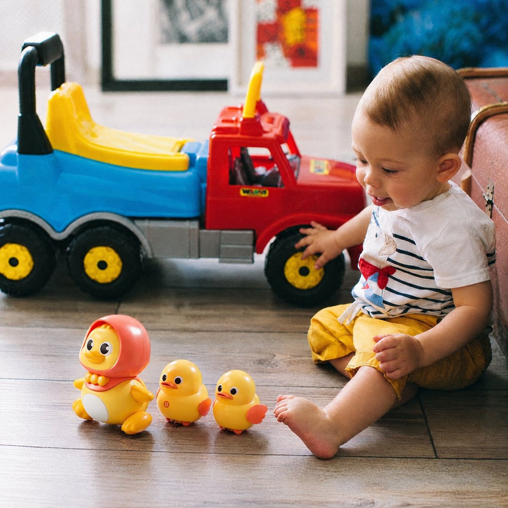 Follow-Me Duck Family
