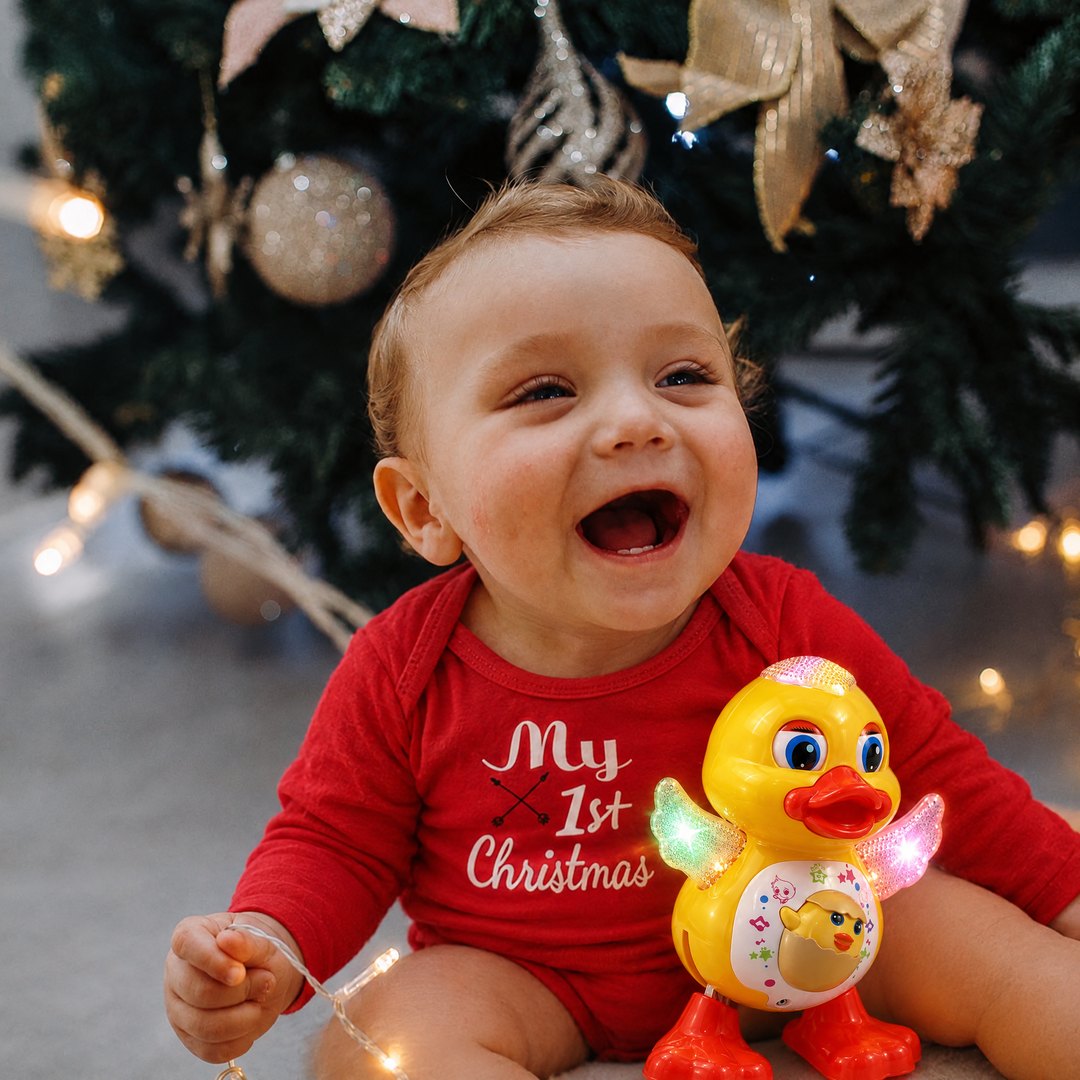 Waddle's First Christmas Box photo 1