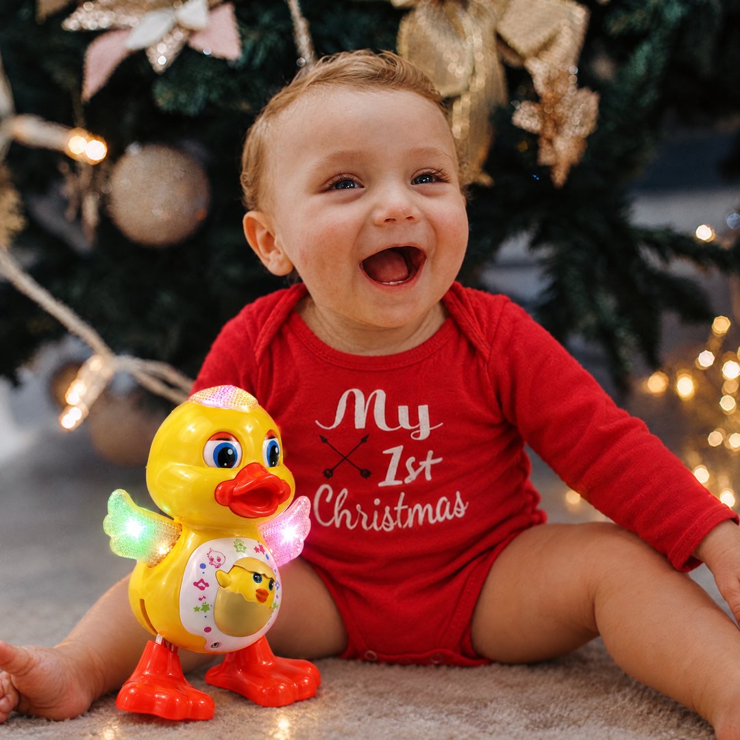 Waddle's First Christmas Box photo 3